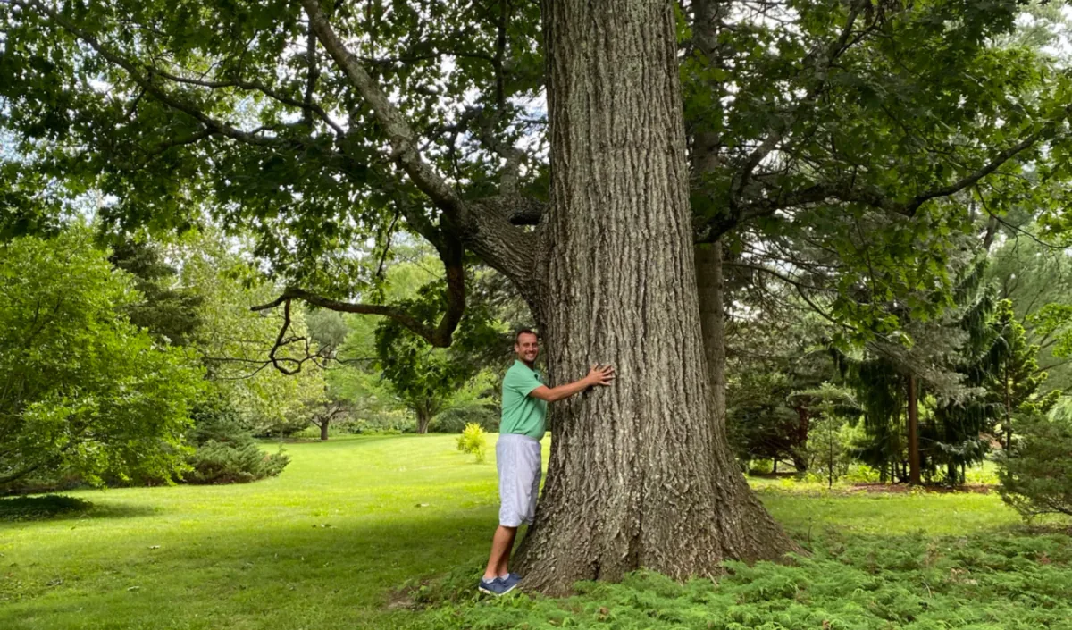Alex Julian embracing the broad trunk of a towering tree in a green landscape